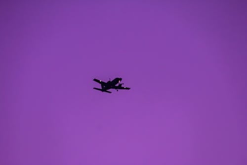 Free stock photo of aeroplane, purple sky Stock Photo
