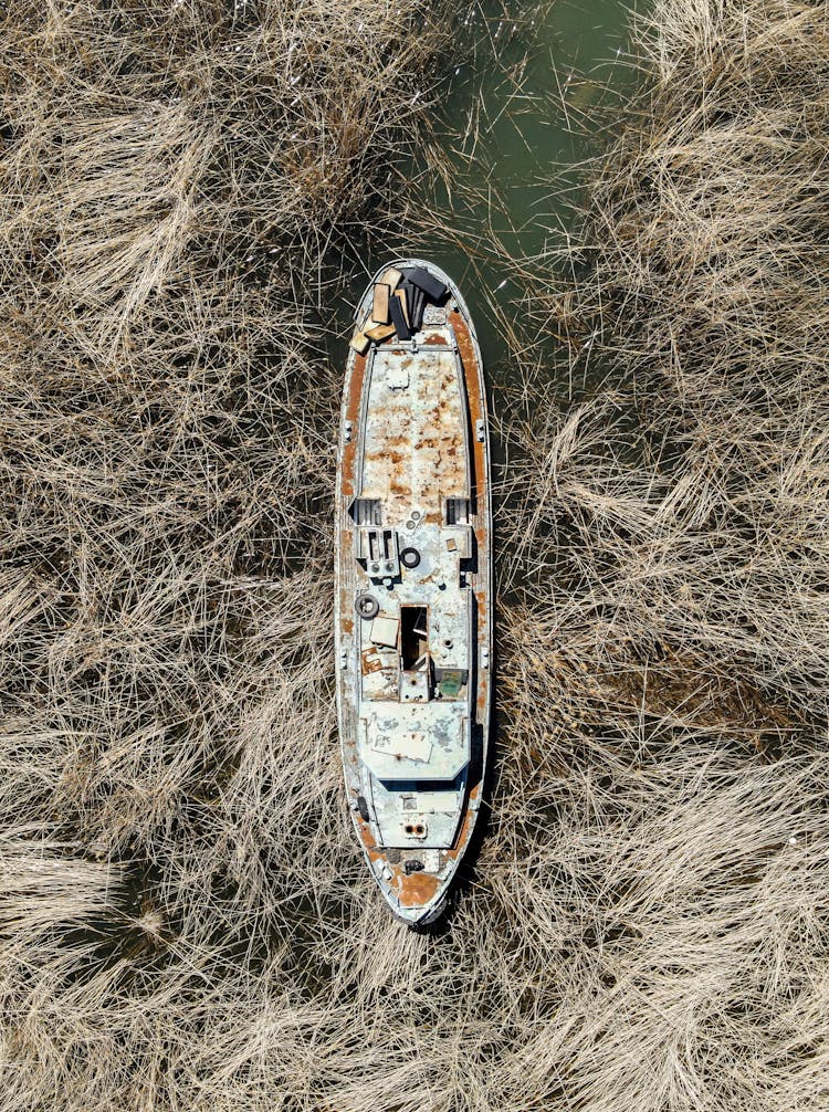 Abandoned Boat In Rushes