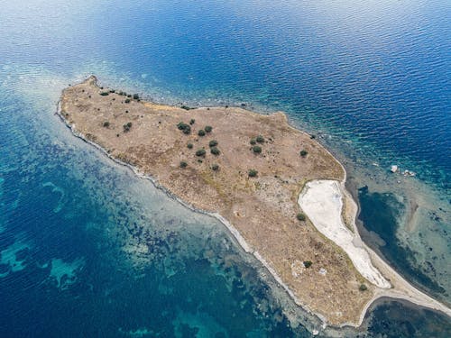 Darmowe zdjęcie z galerii z morze, natura, pionowy strzał