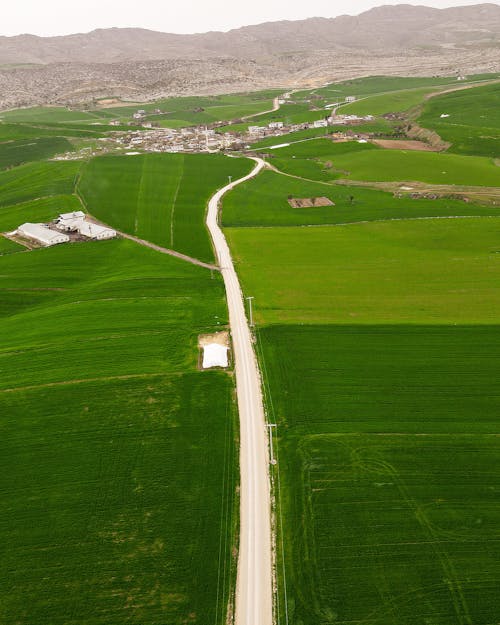 Aerial View of Green Grass Field