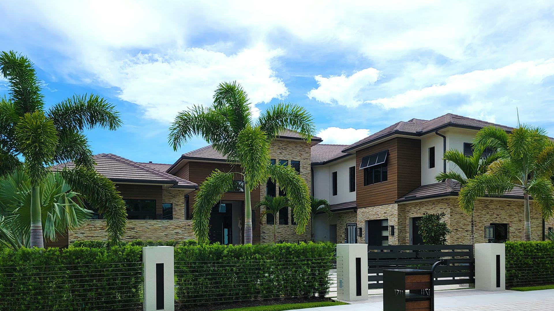 Mansion with Palm Trees