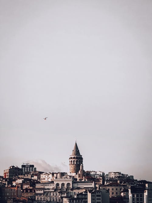 City Buildings Under Gray Sky