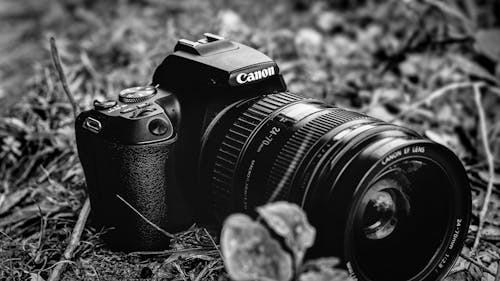 Ingyenes stockfotó canon 250d, csendélet, elektronikai eszköz témában