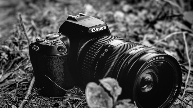 Black DSLR Camera in Close Up Shot