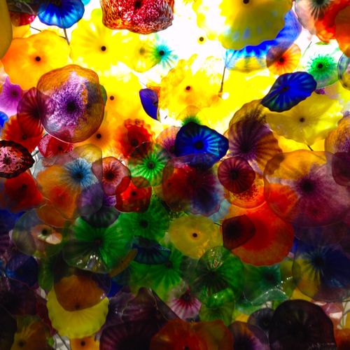 Free Color Splash Stock Photo