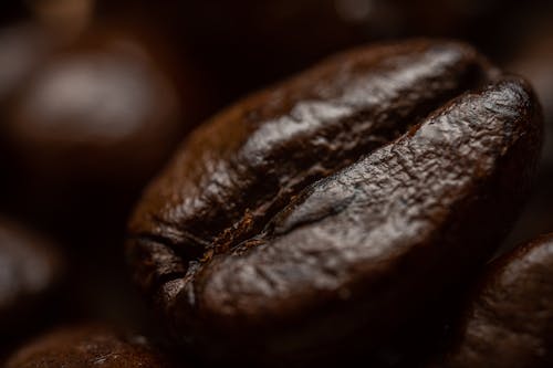 Close Up Shot of a Brown Coffee Bean