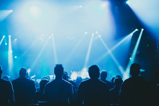 Silhouetted audience at a dynamic and colorful live concert event.