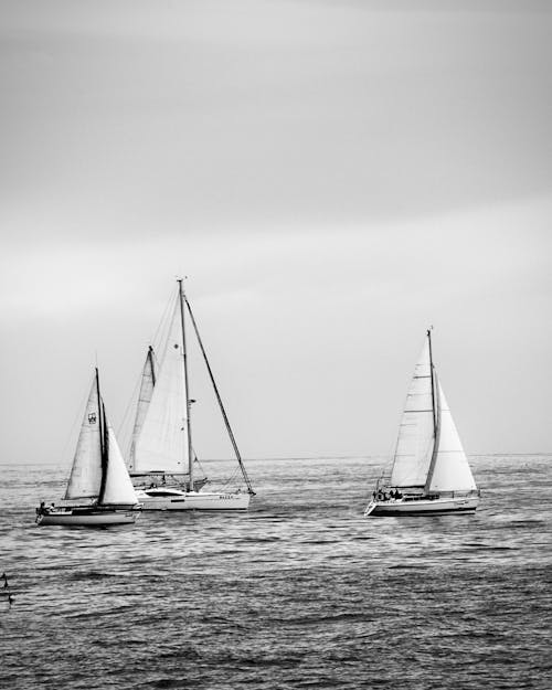 グレースケール, セーリング, ヨットの無料の写真素材