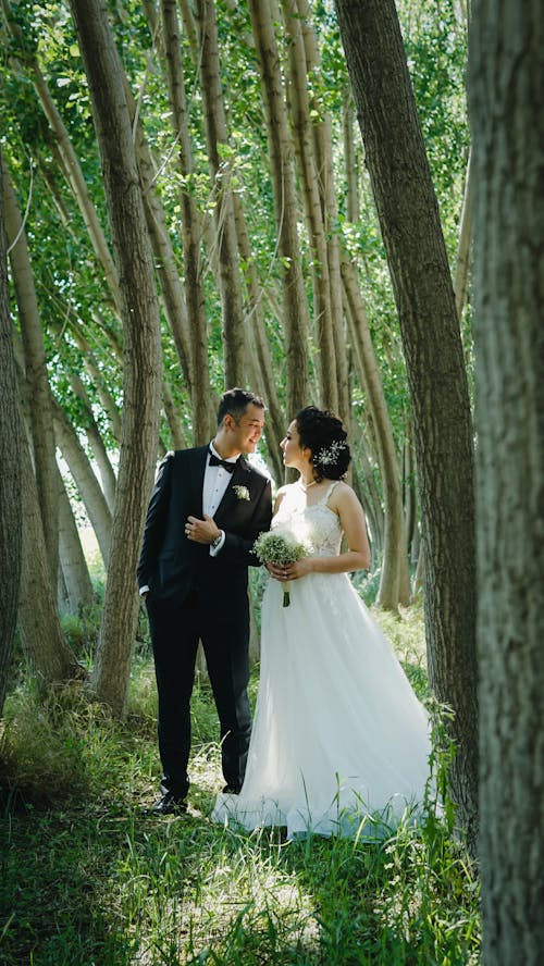 Foto profissional grátis de amor, árvores, casal