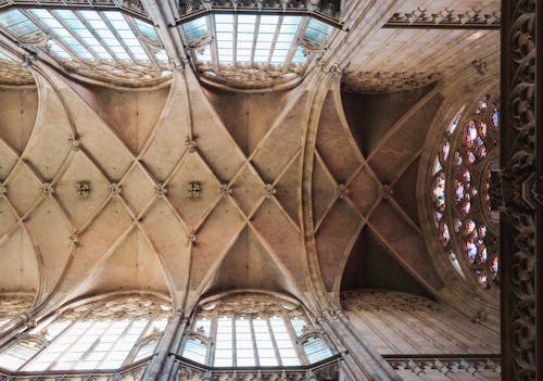 Ceiling of an Establishment