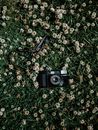Free stock photo of 35mm camera, camera, film camera