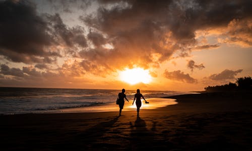 Silhouette of People Walking on the Shore of the Beach During Sundown