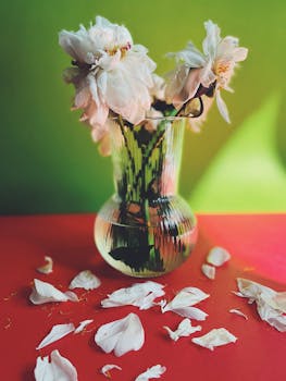 A beautiful glass vase with white flowers placed on a colorful background, featuring scattered petals.