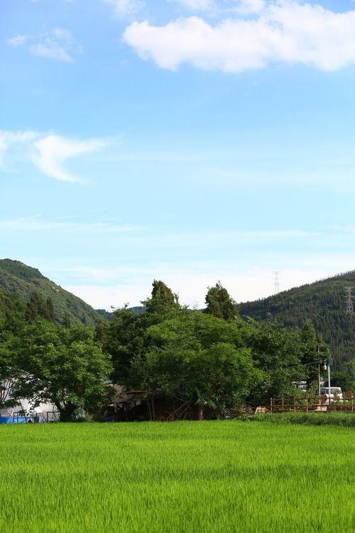 Free A peaceful rural landscape featuring green fields and hills under a clear blue sky. Stock Photo