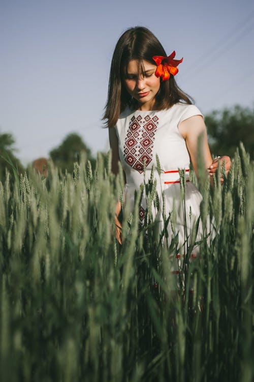 Fotobanka s bezplatnými fotkami na tému biele šaty, červený kvet, chôdza