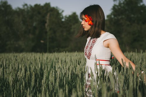 Fotobanka s bezplatnými fotkami na tému biele šaty, červený kvet, chôdza