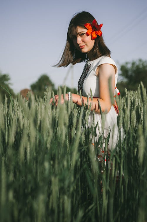alan, Beyaz elbise, buğday çimeni içeren Ücretsiz stok fotoğraf
