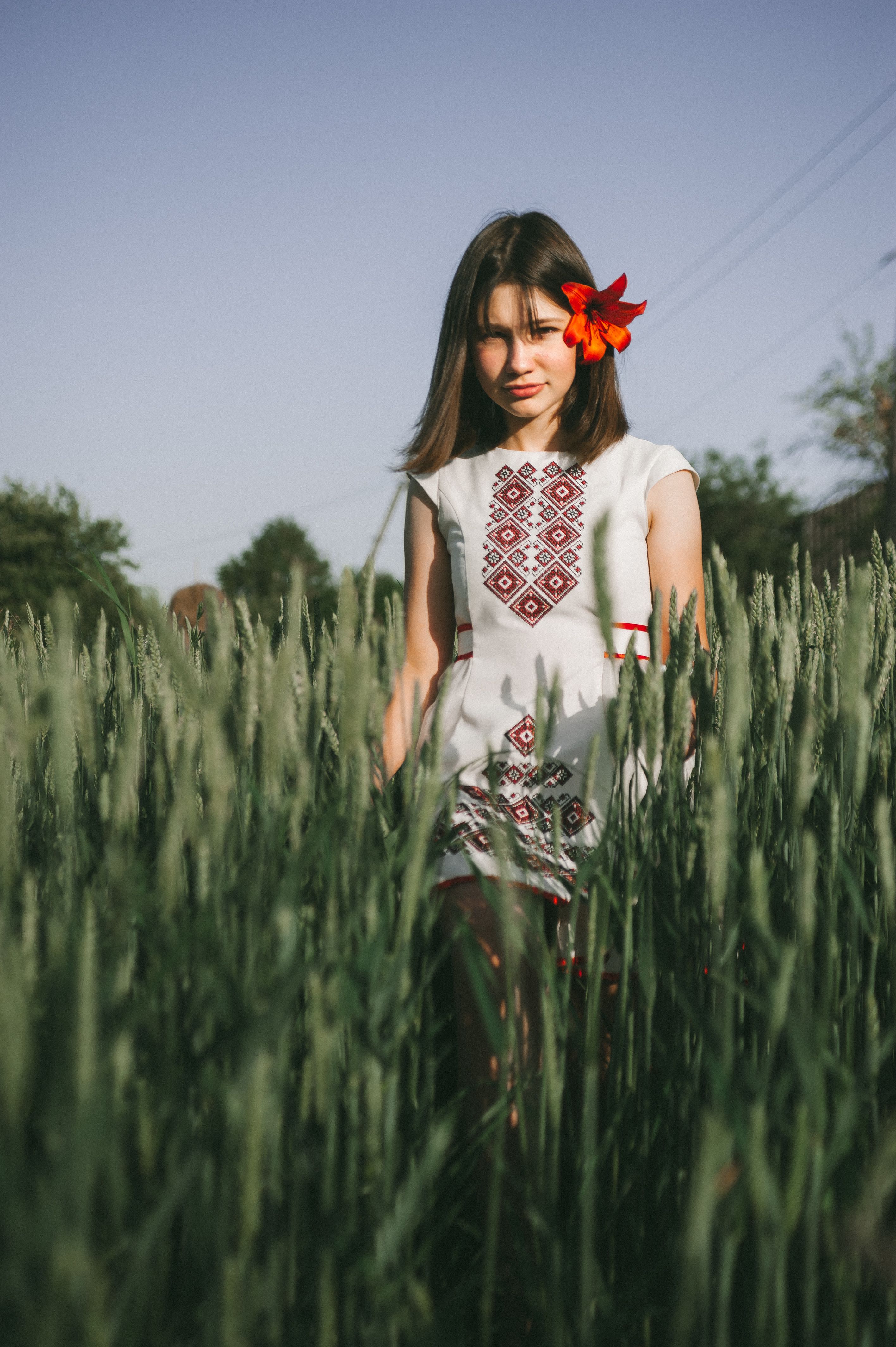 A Beautiful Woman in White Dress Standing on Wheat Field while Looking ...