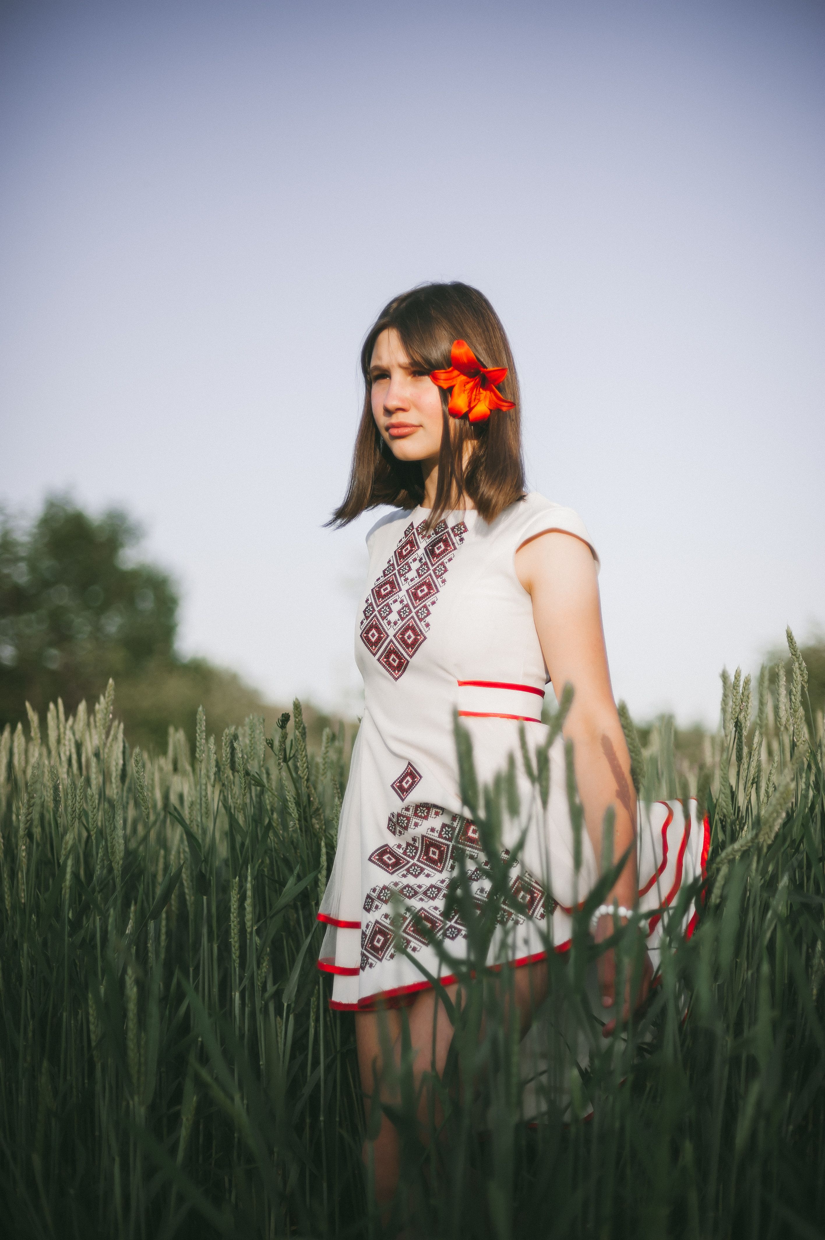 A Woman in White Dress Standing on Wheat Field while Looking Afar ...