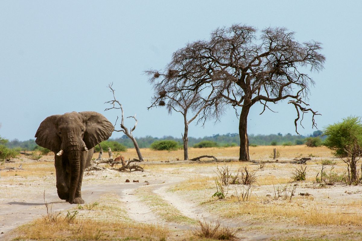 Aquila Private Game Reserve