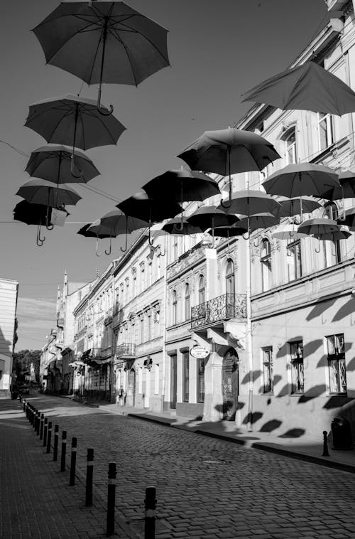 Free Umbrellas in a City Stock Photo