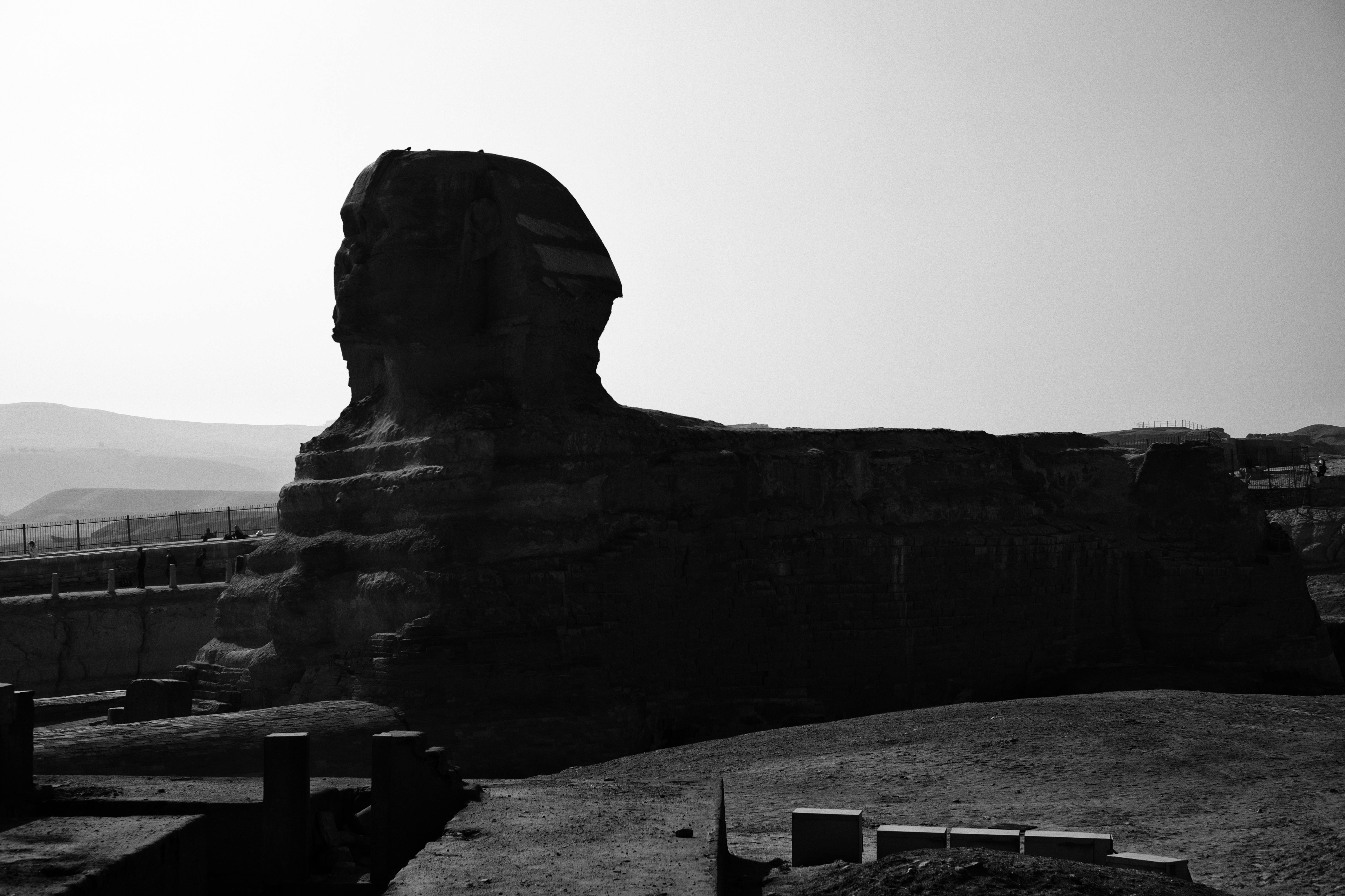 Side View of Great Sphinx Statue · Free Stock Photo