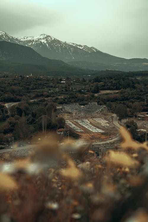 Ingyenes stockfotó fák, hegycsúcs, hegyek témában