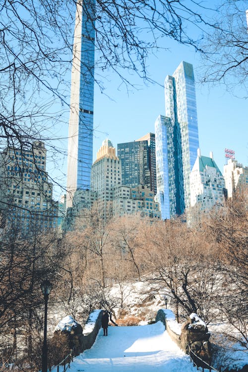 겨울, 고층 건물, 눈의 무료 스톡 사진
