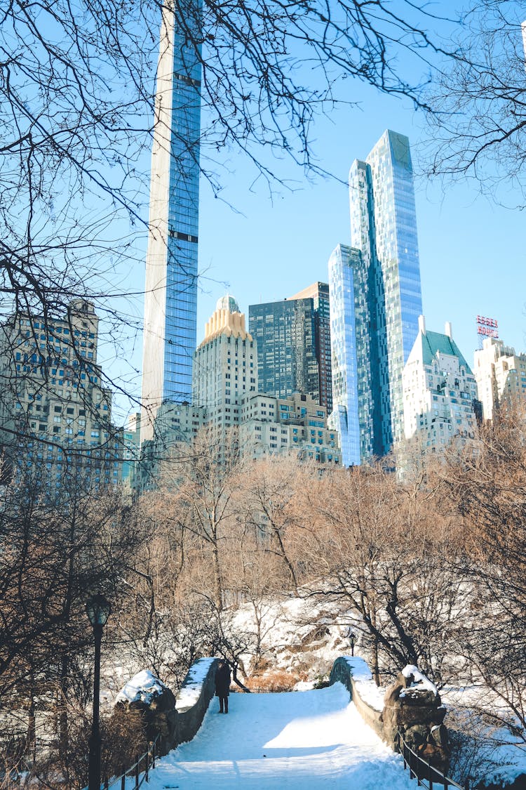 Central Park To Billionaires Row