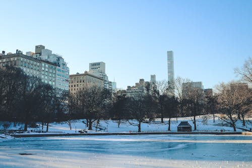 Frozen Lake in Central Park