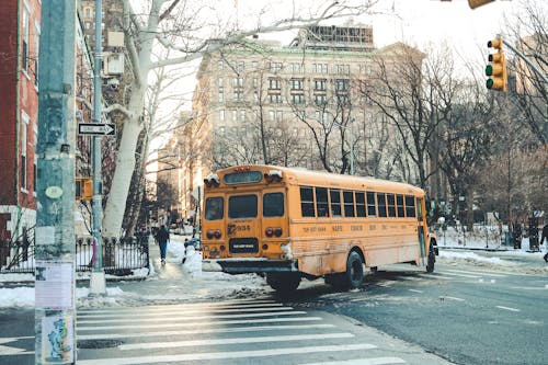 Ilmainen kuvapankkikuva tunnisteilla keltainen, koulubussi, lumi