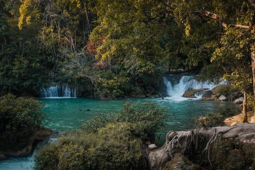 Stunning waterfall amidst greenery in the Chiapas region of Mexico, showcasing natural beauty.