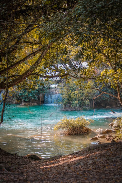 View of Green Trees and a Waterfall in the Background 