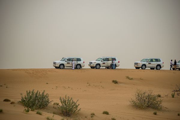 Amazing Dubai - Stays