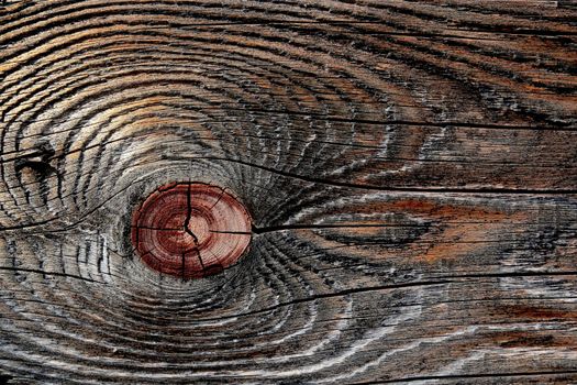 Close Up Shot of a Wooden Plank