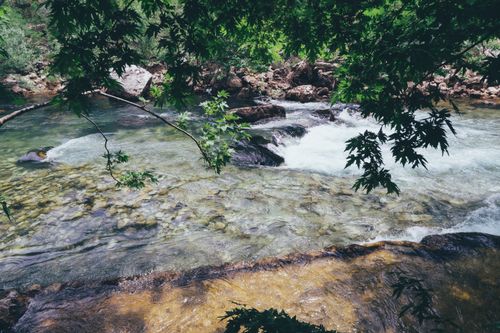 Free A serene river flowing through a forest landscape with rich green foliage. Stock Photo