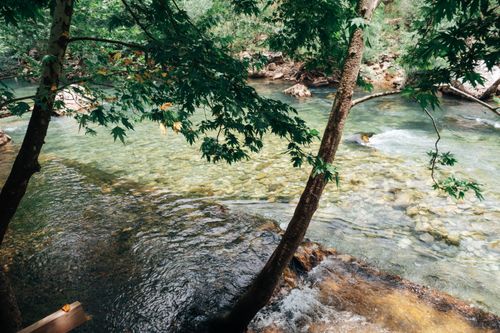 Free Tranquil creek flows through a lush forest, with sunlight filtering through the trees in summer. Stock Photo