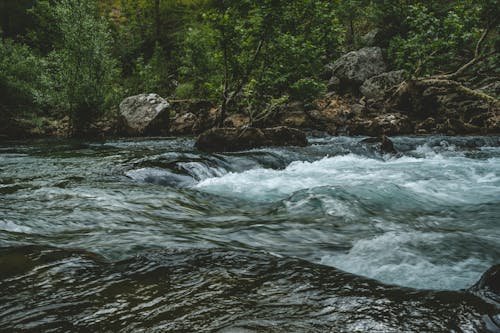 Rapids in Mountain River