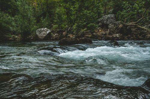 Free A stunning view of a river flowing through a lush forest, showcasing nature's beauty and power. Stock Photo