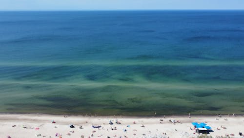 Aerial Photography of People on Beach