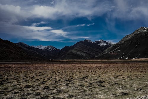 Wasteland in Mountains Landscape