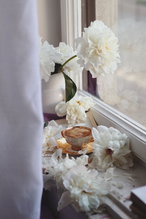 Free Aesthetic coffee cup on a windowsill surrounded by blooming white flowers. Stock Photo