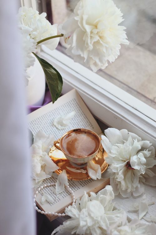 Free A serene coffee cup nestled by an open book amidst white flowers by the window, perfect for calming moments. Stock Photo