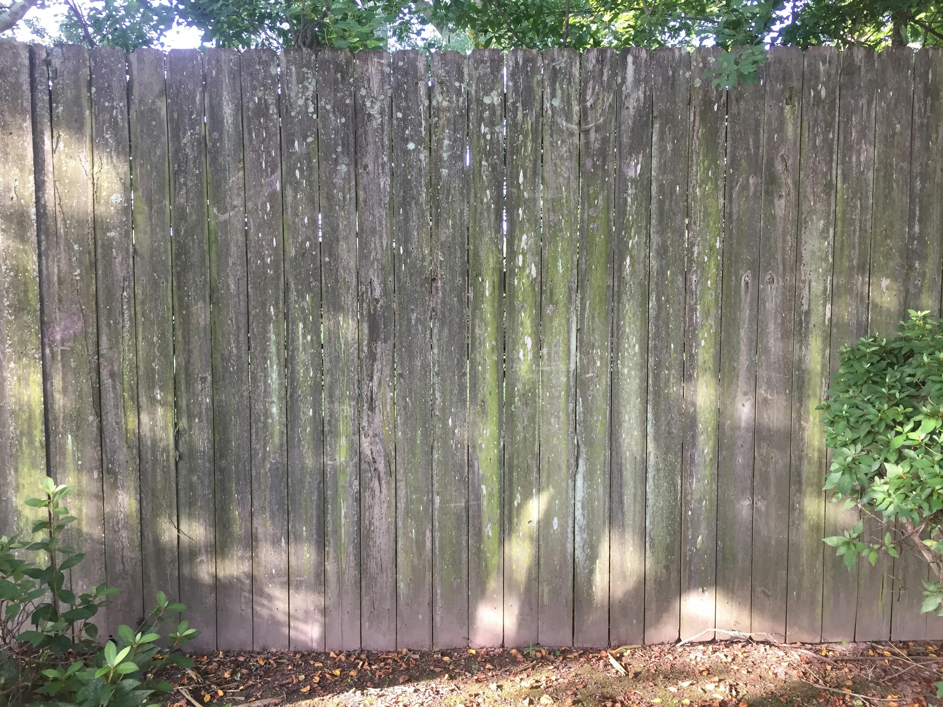Free stock photo of fence, wood fence