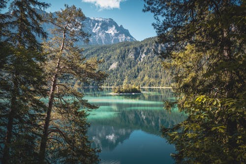 Gratuit Photos gratuites de arbres, Bavière, chaîne de montagnes Photos