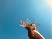 一个头发在明亮的阳光和湛蓝的天空中飘逸的女人