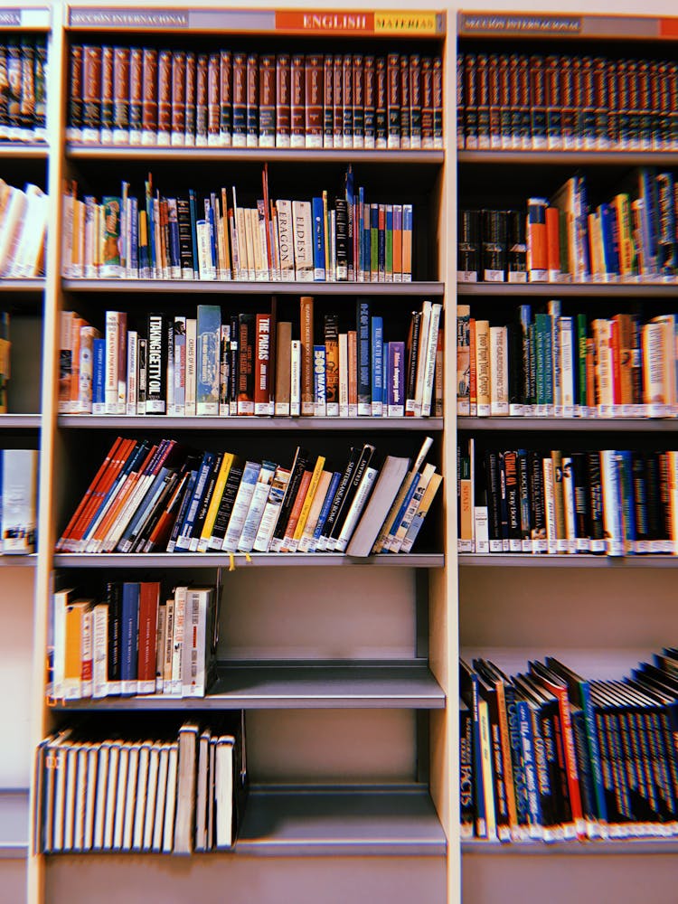 Bookshelves Filled With Books