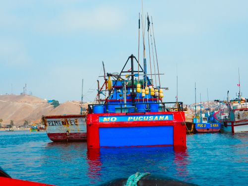 Free stock photo of blue, boat, boats Stock Photo