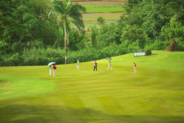 People Playing Golf