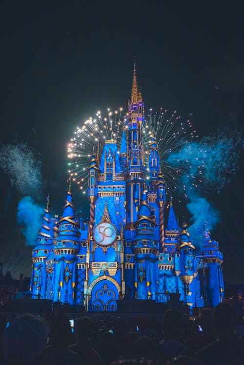Fireworks Display at Disney World